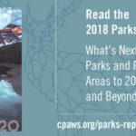 What’s Next: Executive Summary