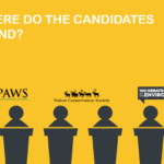 All candidate environmental debate 2019