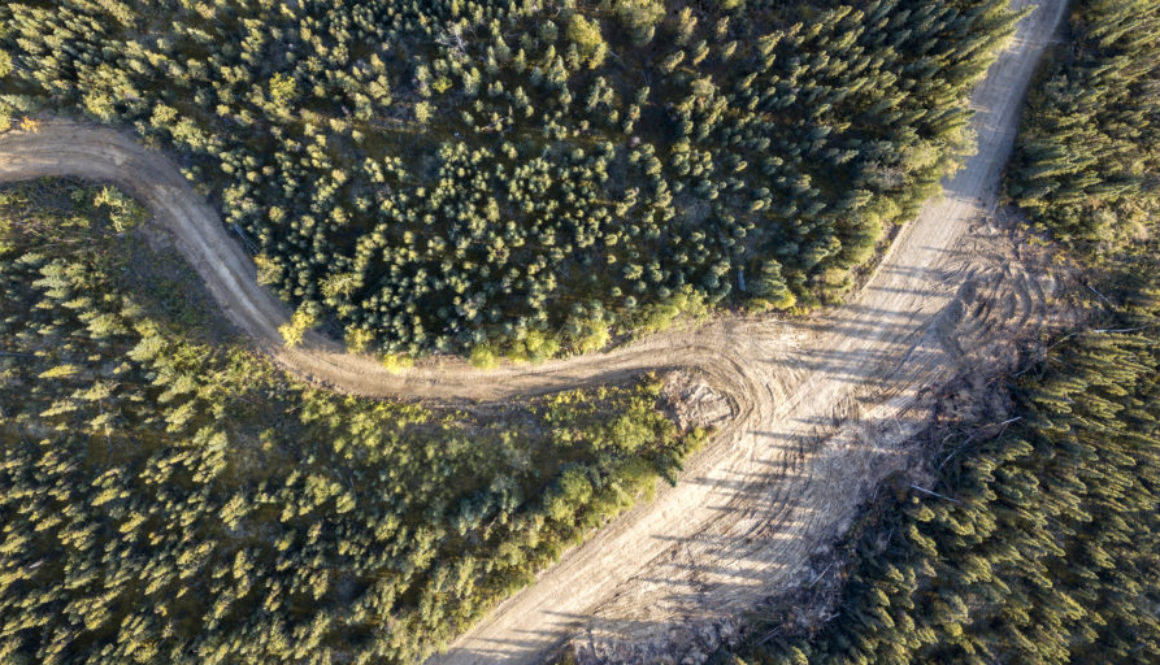 McQuesten Lake Road from the sky