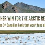 TD’s new climate policy rules out funds for oil and gas development in the Arctic Refuge; Arctic as a whole.