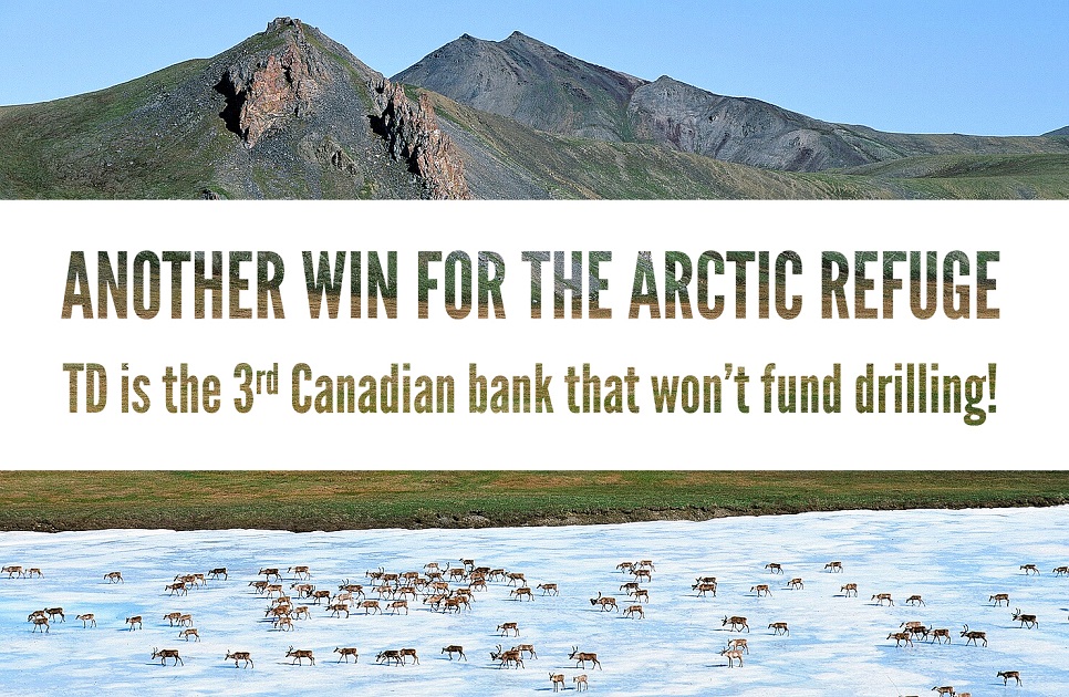 TD’s new climate policy rules out funds for oil and gas development in the Arctic Refuge; Arctic as a whole.