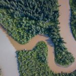 Yukon Government should listen to chorus of voices calling for a pause on placer mining in wetlands.
