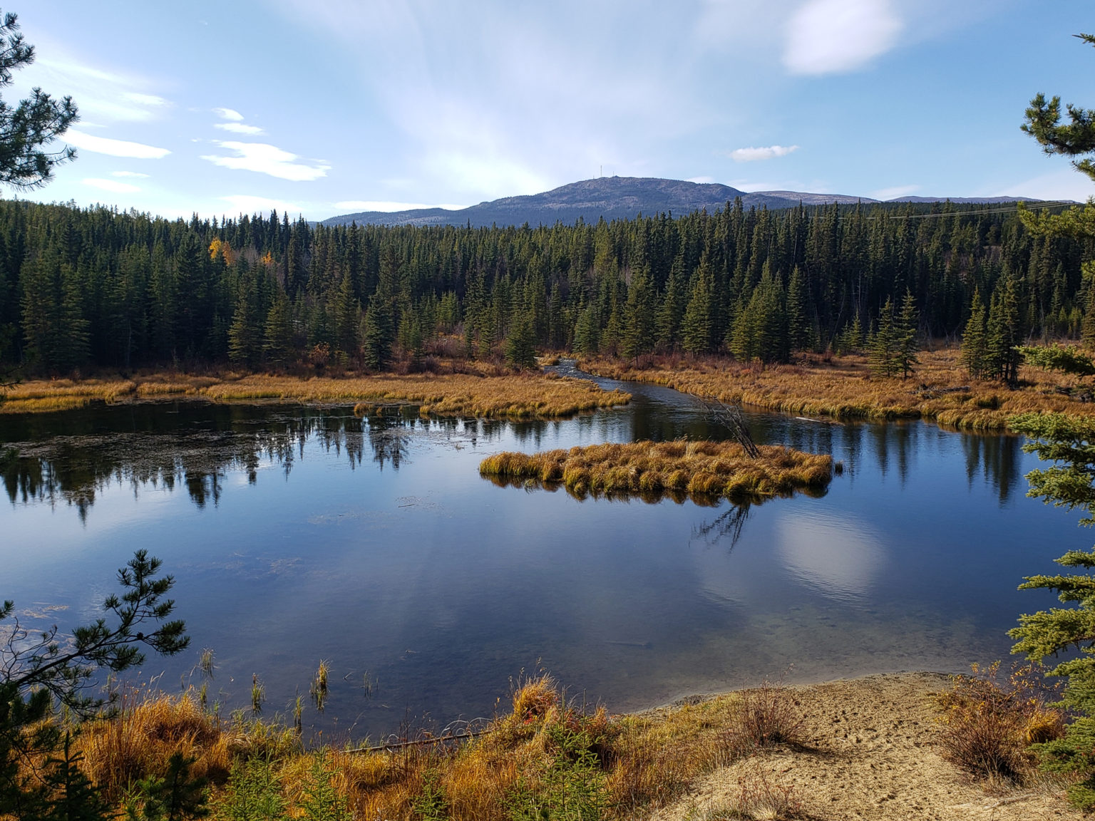 What McIntyre Creek Taught Me - CPAWS Yukon