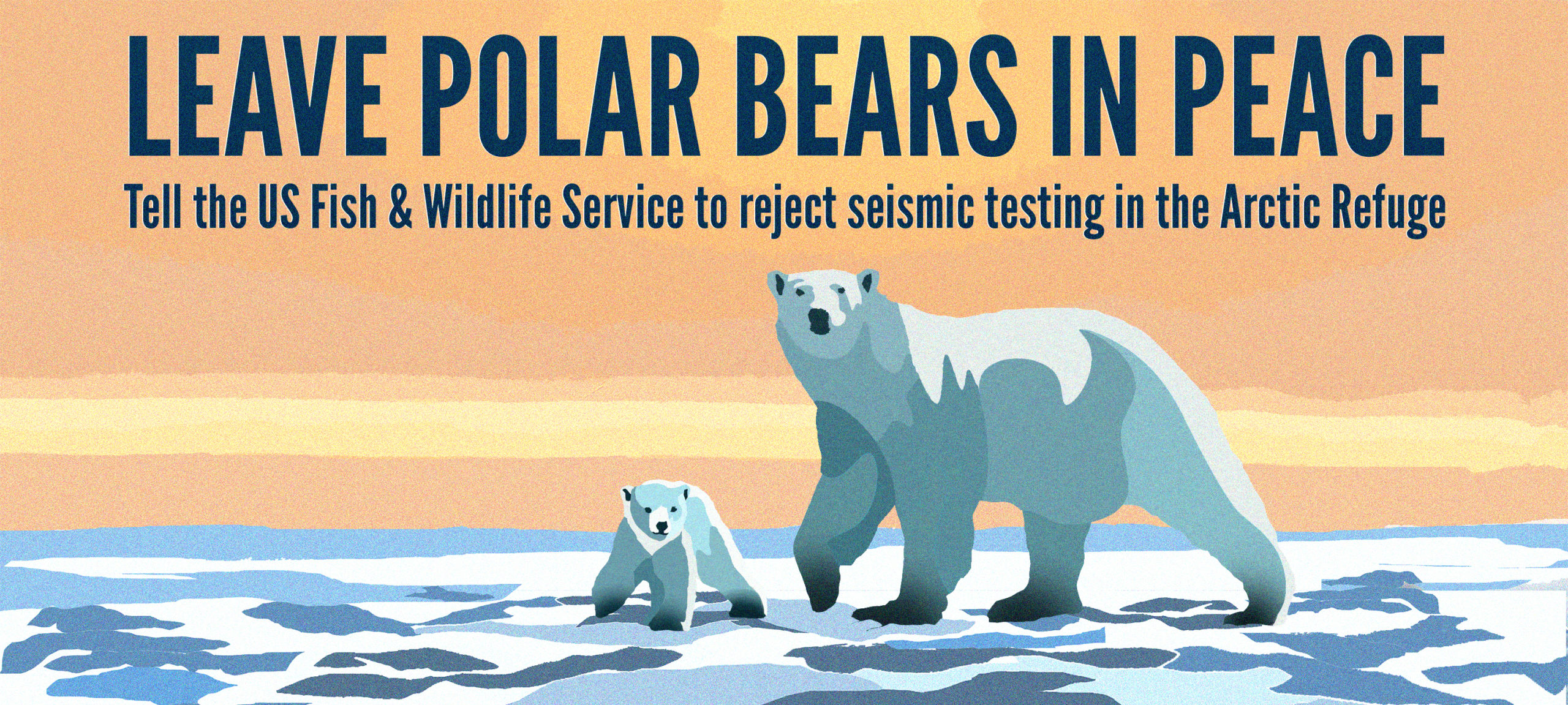 Polar bear banner (1)