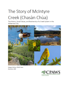Story of McIntyre Creek report thumbnail