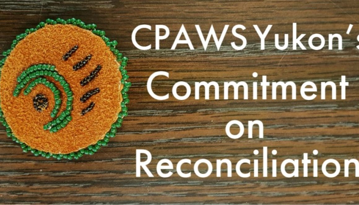 Reconciliation Commitment Graphic (2)