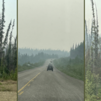 Is this the face of climate change in the Yukon?