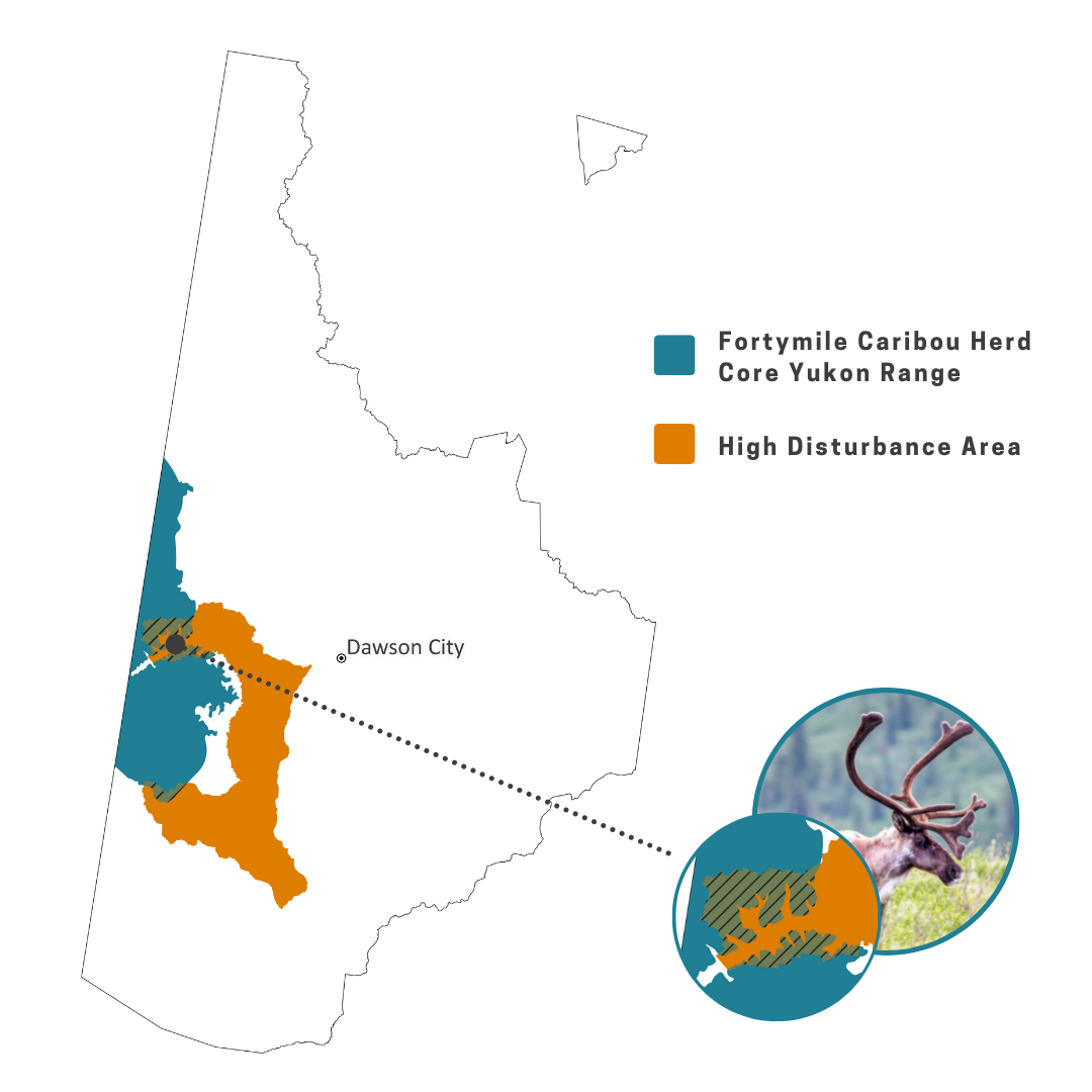 Fortymile caribou herd range and high disturbance areas within the Dawson Recommended Land Use Plan