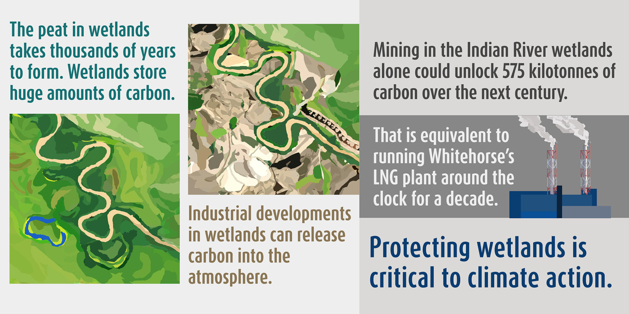 Peat beneath our feet - CPAWS Yukon