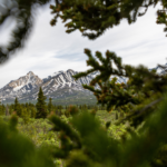 Op-Ed: In the Yukon, nature is thriving. We can keep it that way