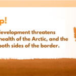 Where We Stand on the Arctic Refuge and What You Can Do