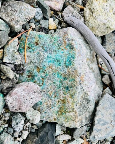 Seeing With Our Own Eyes: Gladiator Metals Copper Claims around the City of Whitehorse