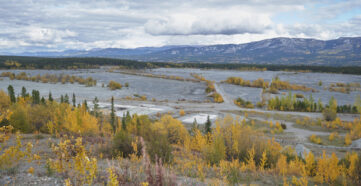Mining is intertwined with Whitehorse’s past, but should it be part of its future? At City Council’s March 11th public hearing on mining in Whitehorse, the large majority of people who spoke said “No.”