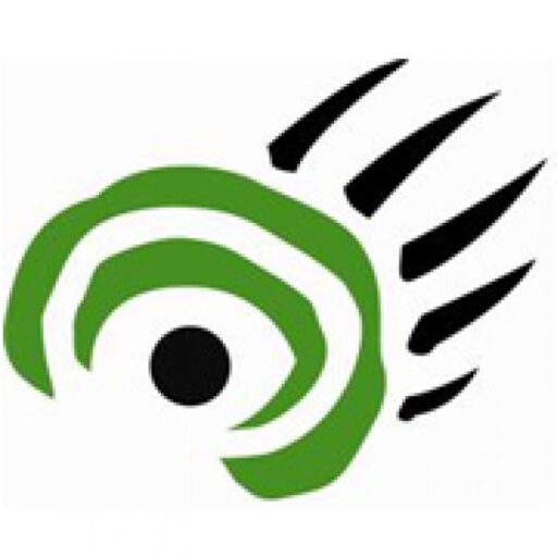 Yukoners heading to the polls with environmental change on their minds—and their ballot 