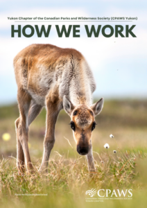 CPAWS Yukon How We Work - thumbnail