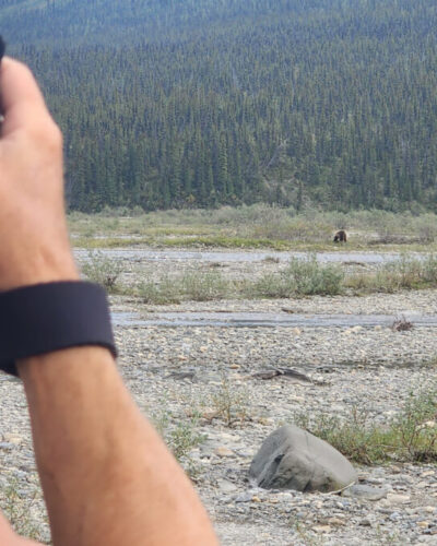 Joel Luet takes a photo of the bear.