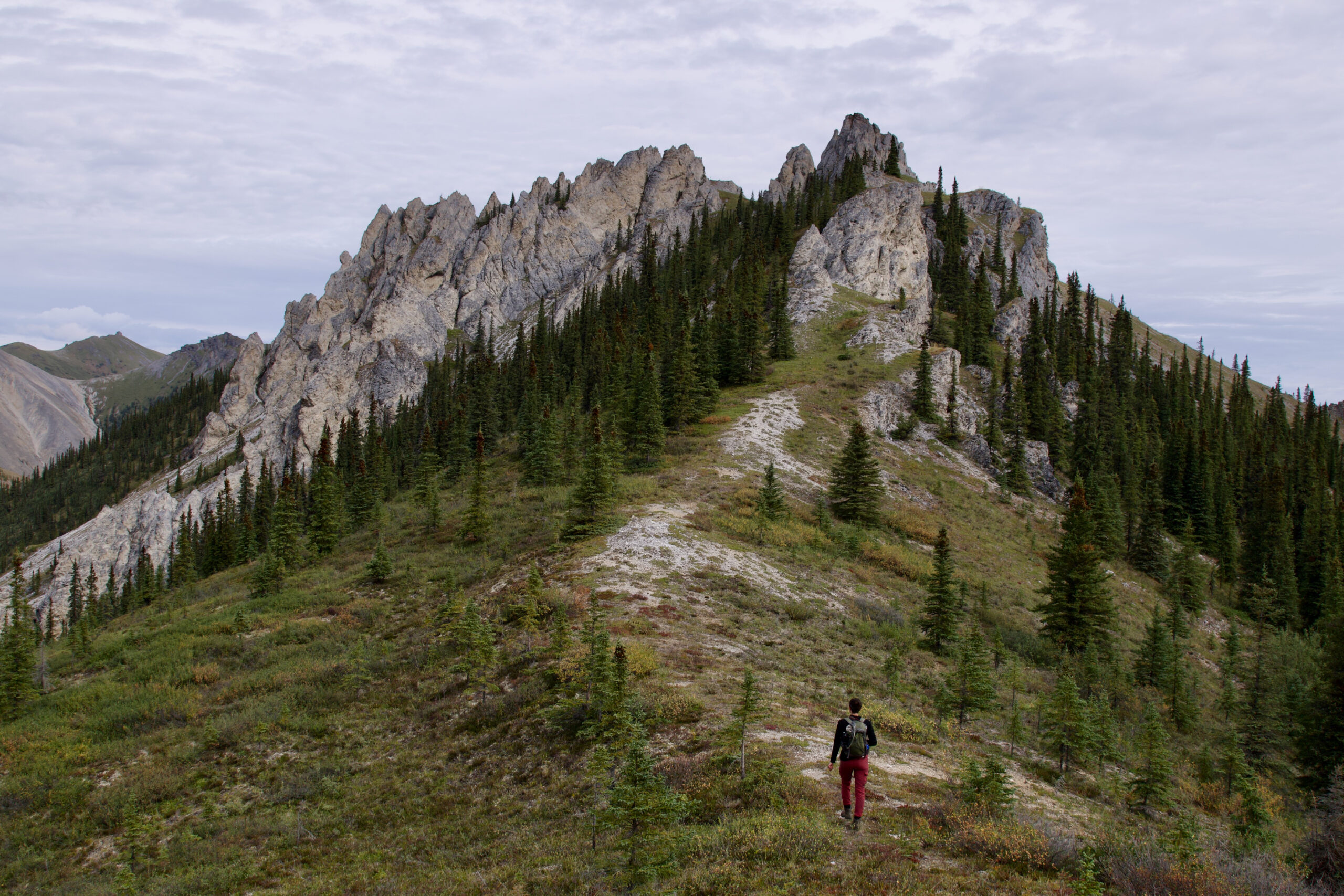 Upholding Inclusion and Standing Against Harmful Policies