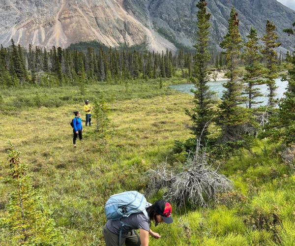 Kadrienne bends down to look at some plants while Ashwin and Chantel look toward the river, framed by tall trees and mountains.