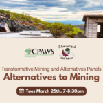 Panel Discussion: Alternatives to Mining