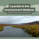 Cyanide in the Environment: A webinar on the Eagle Mine disaster
