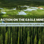 What the Heap? Understanding the cyanide disaster at Eagle Mine