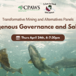 Panel Discussion: Indigenous Governance and Salmon