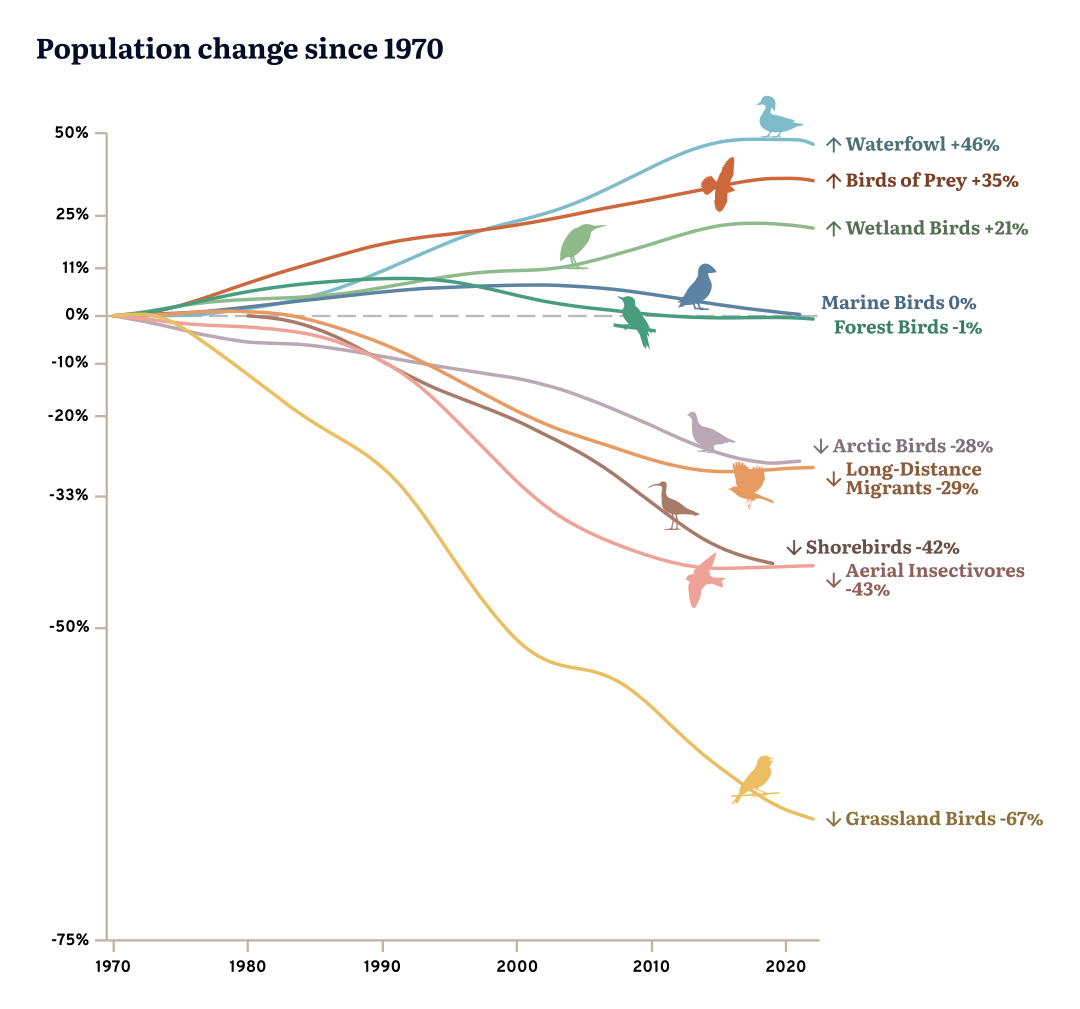 Bird trends since the 1970s from Birds Canada and Environment and Climate Change Canada’s State of Canada’s Birds report.
