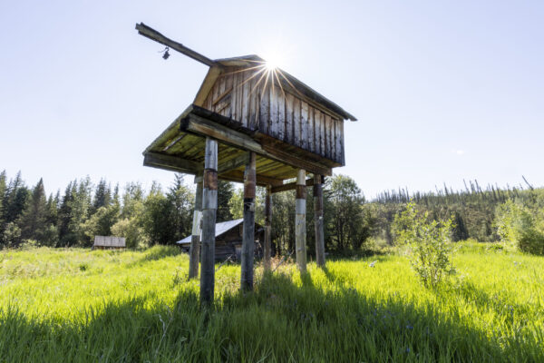 Lansing, photo by Malkolm Boothroyd. Lansing, photo by Malkolm Boothroyd.