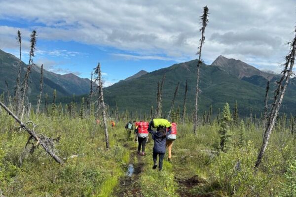 Portage through an old forest burn to Fraser Falls, photo by Joti Røsholt. Portage through an old forest burn to Fraser Falls, photo by Joti Røsholt.