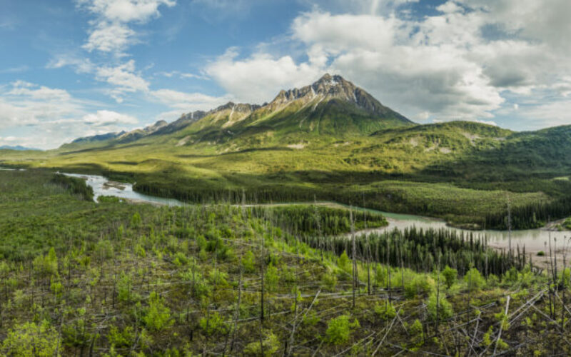 Ddhaw Cho (Ortell Peak) panorama, photo by Malkolm Boothroyd.