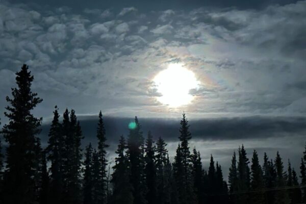 Reconnecting in Mayo Reconnecting in Mayo