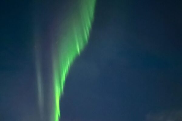 Reconnecting in Mayo Reconnecting in Mayo