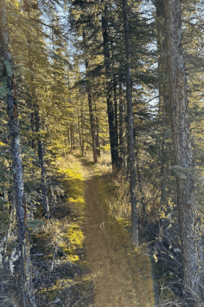 Reconnecting in Mayo Reconnecting in Mayo