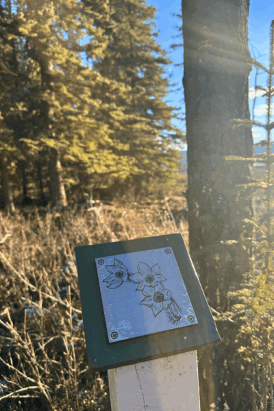 Reconnecting in Mayo Reconnecting in Mayo