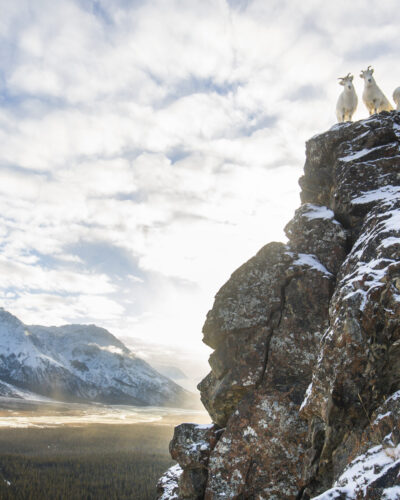 Travelling in the Yukon? Be a respectful guest Travelling in the Yukon? Be a respectful guest