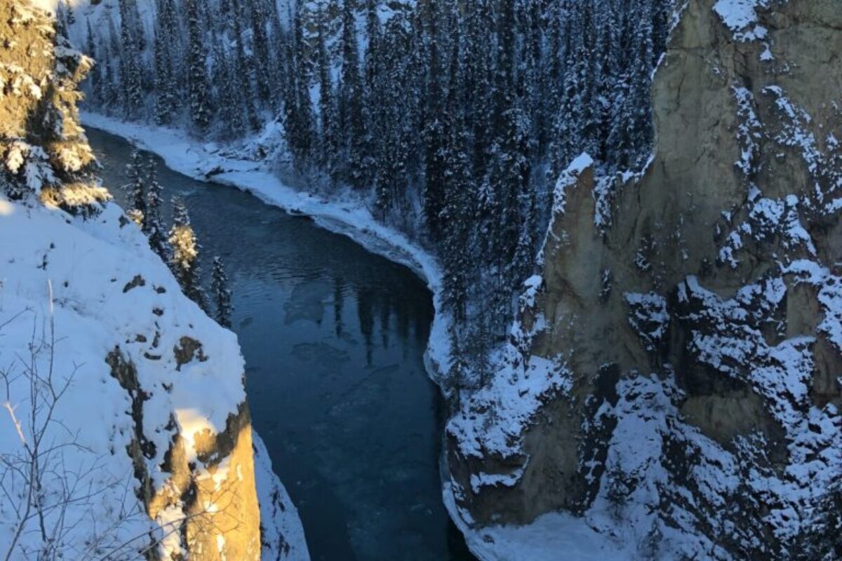 Learning from Guardians in Ross River