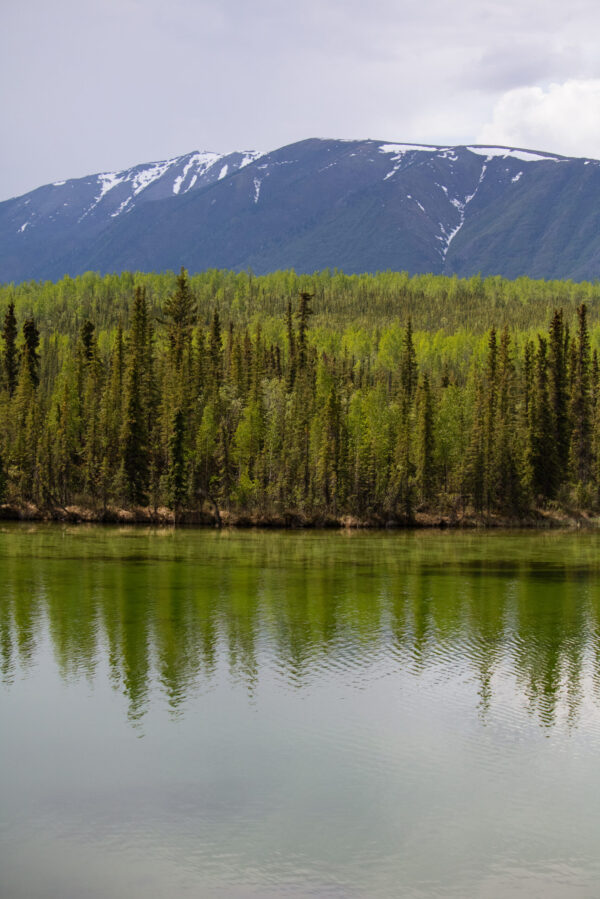 A calm Jackfish lake reflects a dense forest with a snow-capped mountain in the background as cloudy skies begin to form. Photo by Hannah Hofsink, Ross River Dena Council territory.