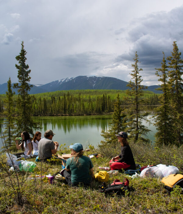 A group of people sit and relax on top of a green shrubby hill on Jackfish Lake surrounded by evergreen trees and a snow-capped mountain in the background. Photo by Hannah Hofsink, Ross River Dena Council territory.