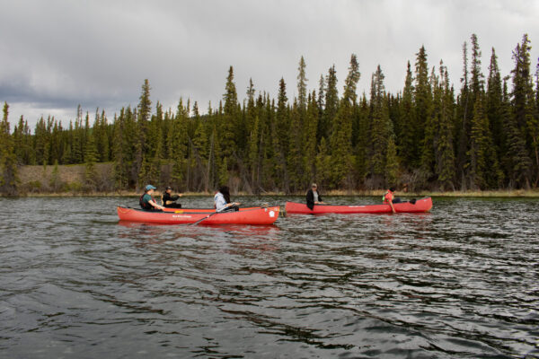 A group paddles three red canoes on Jackfish Lake near a dense forest of tall evergreen trees. Photo by Hannah Hofsink, Ross River Dena Council territory.