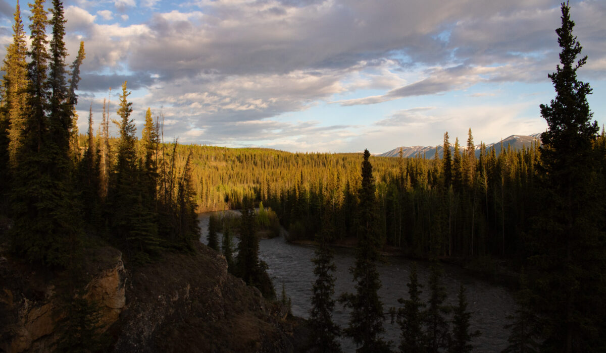 A forested river valley during golden hour with trees casting shadows on the mountain. Photo by Hannah Hofsink, Ross River Dena Council territory.