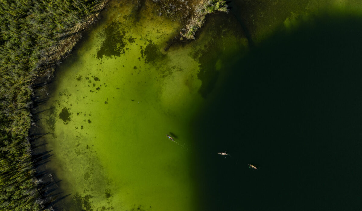 Drone photo of a canoe near the shore of Jackfish lake, where the water appears a bright green. Photo by Hannah Hofsink, Ross River Dena Council territory.