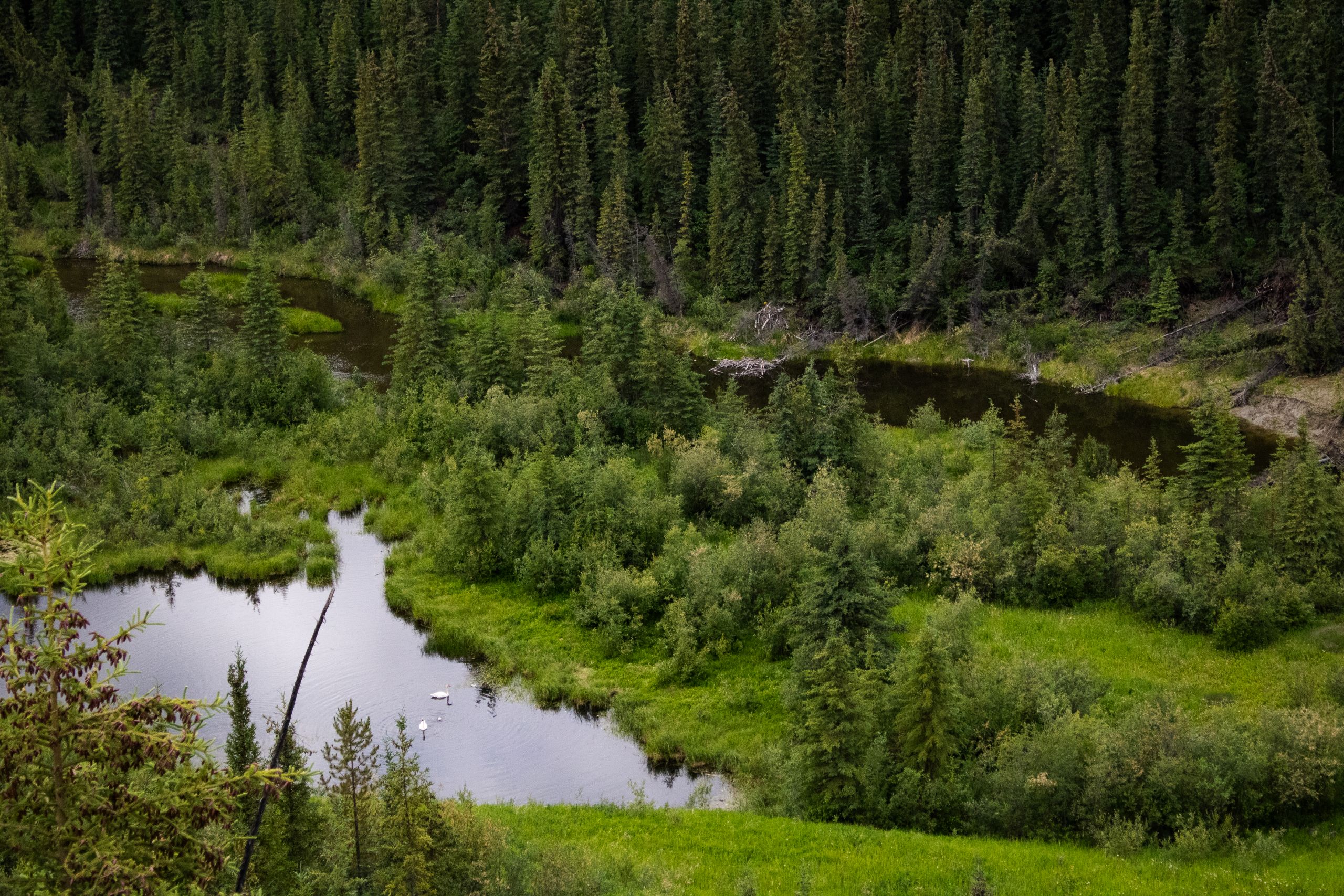 Dàmäwtän (The Point), Kwanlin Dün First Nation and the Ta’an Kwäch’än Council traditional territory. Photo by Hannah Hofsink.